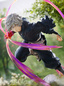 Preview: Gabimaru - F:Nex - Furyu / Mappa