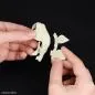 Preview: Stegosaurus (Tentative) - Plannosaurus - Model Kit - Bandai Spirits