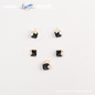 Preview: Yanqing - Honkai: Star Rail - Action Doll - Piccodo