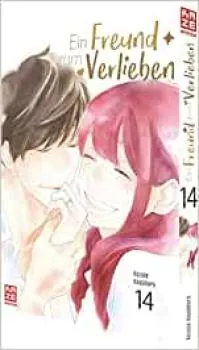 Ein Freund zum Verlieben - Kaze - Band 14 (Finale)