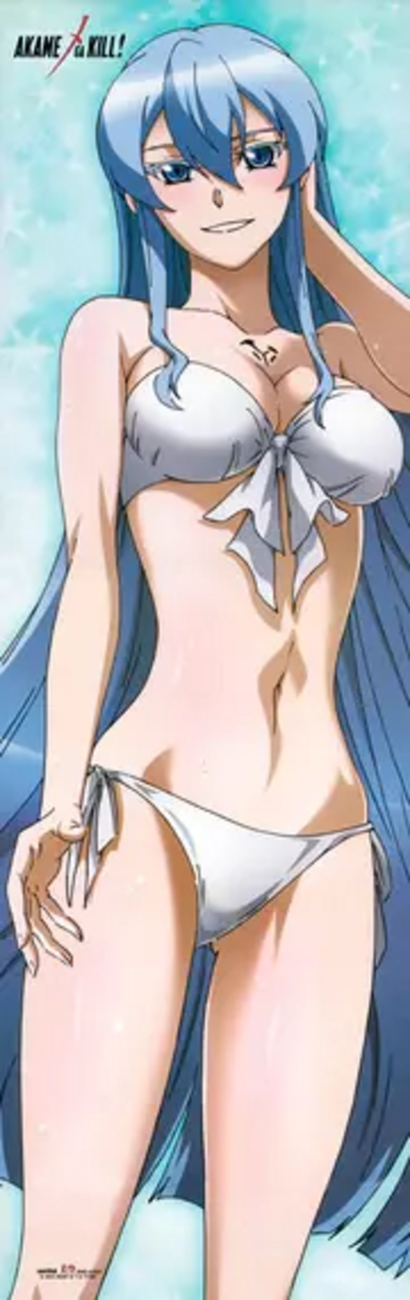 Esdeath - Bikini - Akame ga Kill - Dakimakura