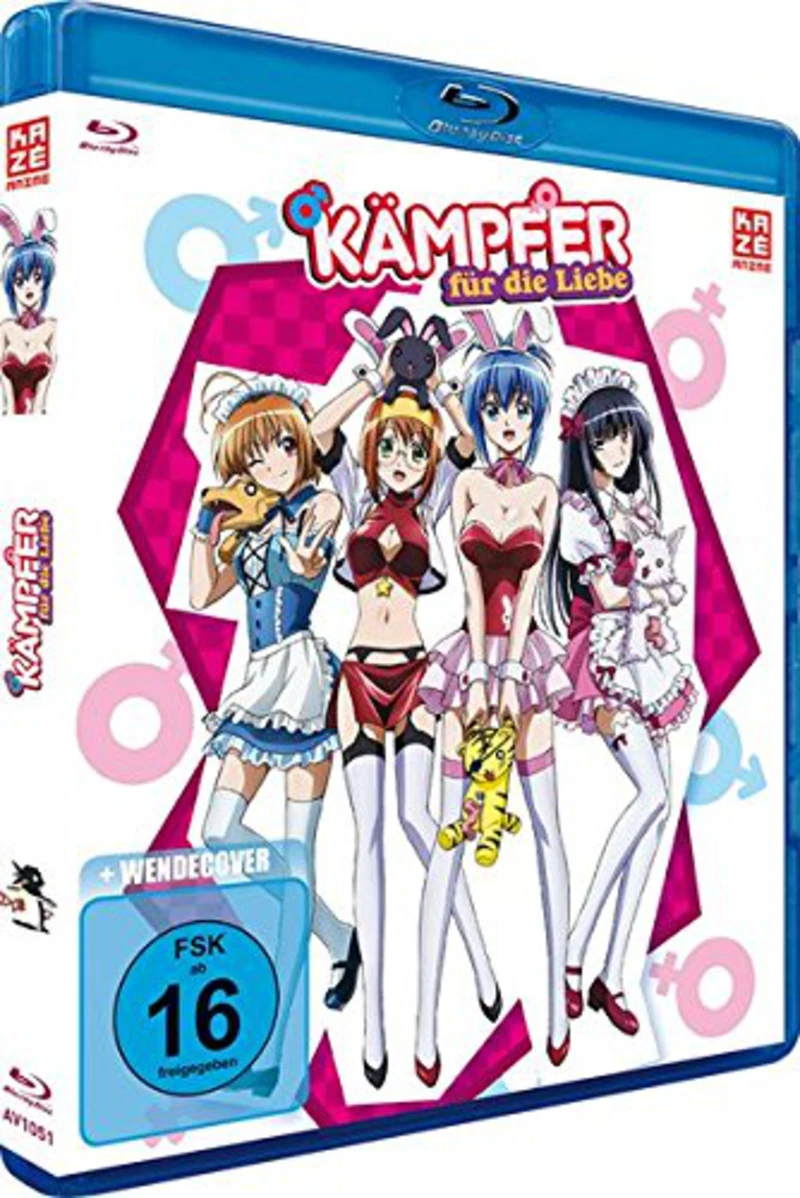 Kämpfer für die Liebe [Blu-ray]