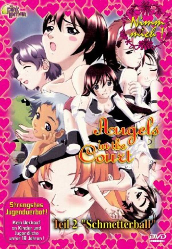 Angel in the Court - Vol. 1 und 2 - Komplett - DVD