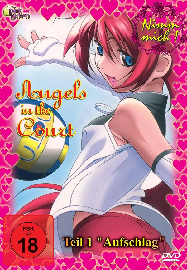 Angel in the Court - Vol. 1 und 2 - Komplett - DVD