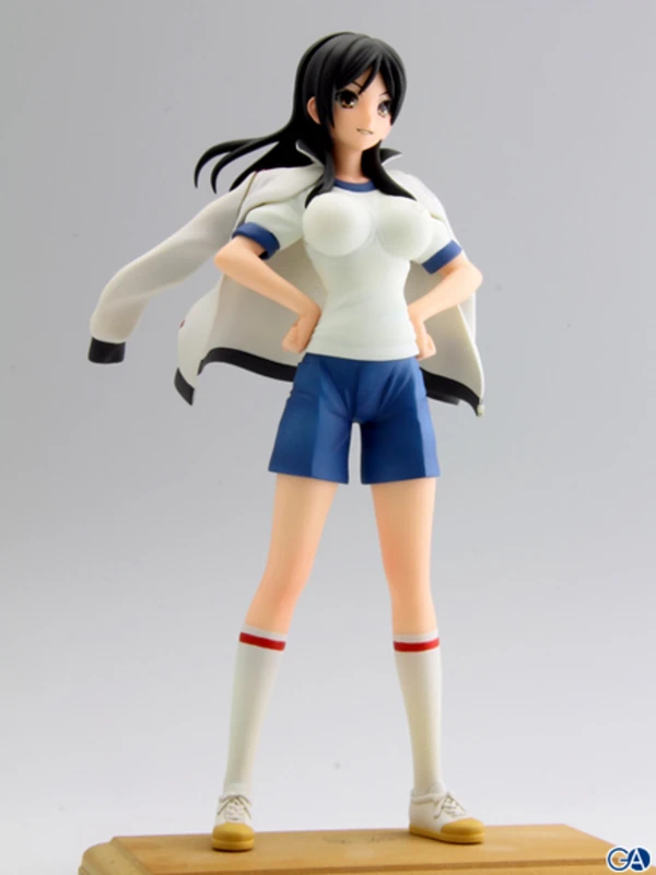 Fukiyose Seiri - EX Figure (SEGA)