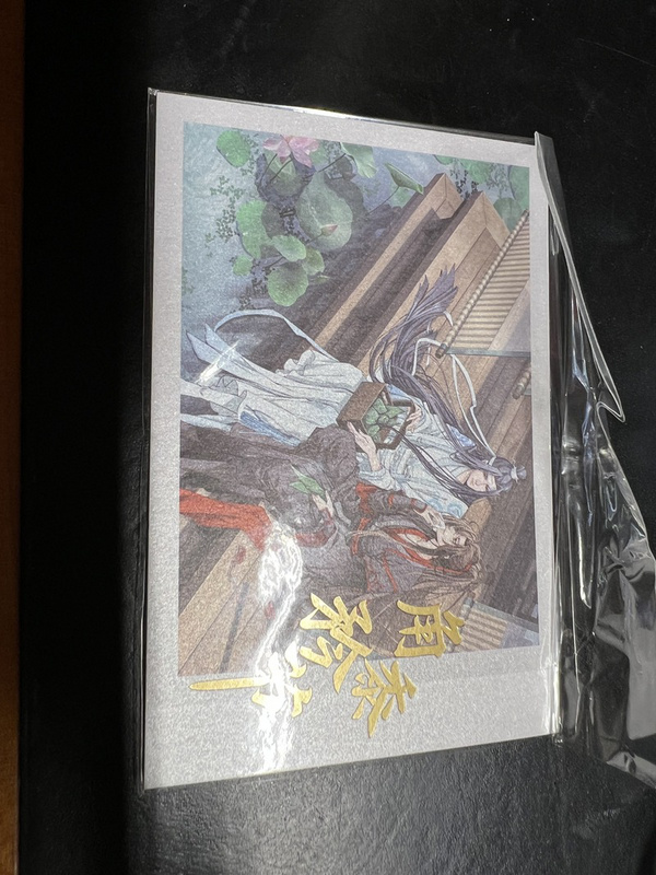 Wei Wuxian & Lan Wangji (Jiao shu Jin Jie Version) The Master of Diabolism
